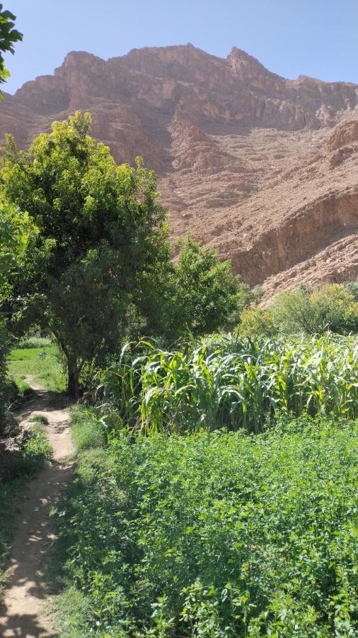 Riad Dar Ahlam Aït Baha 外观 照片