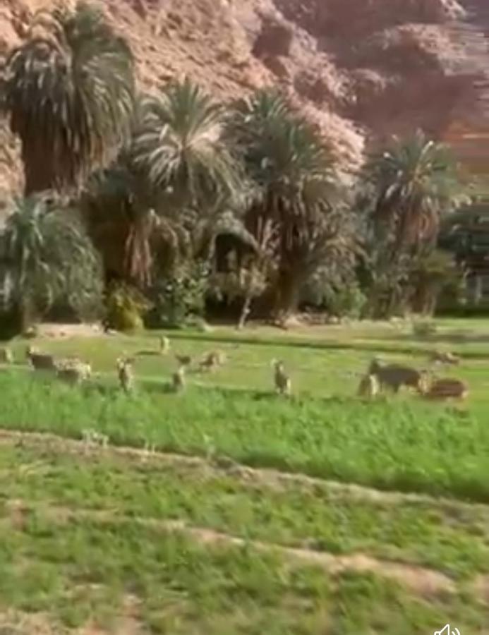 Riad Dar Ahlam Aït Baha 外观 照片